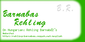 barnabas rehling business card